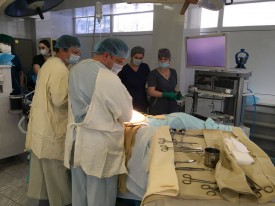 master class hirurgov 09