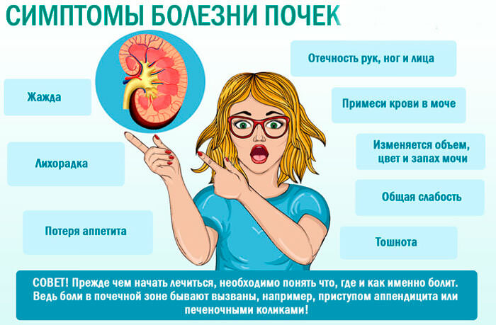 Как сохранить здоровье почек - ГКБ Кончаловского